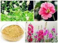 Althaea officinalis Extract 10:1 Brown Fine Powder