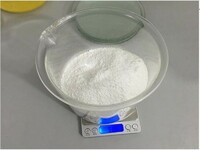 White Pow 99% White Powder 4-DHEA CAS 571-44-8