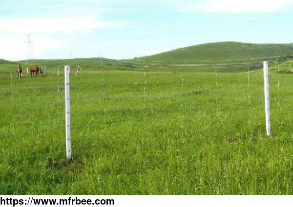 square_knots_field_fences