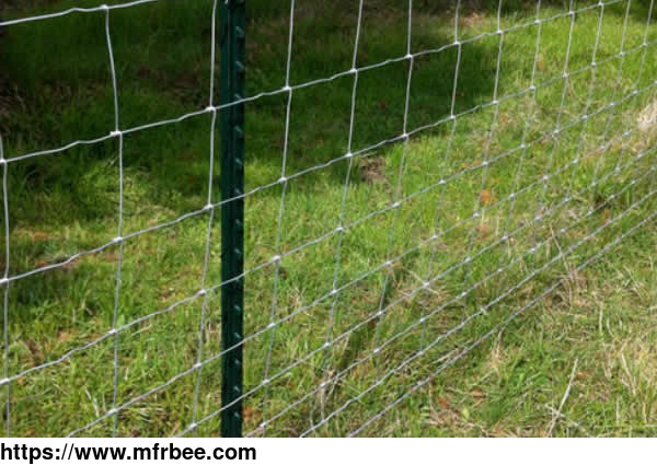 cattle_fence