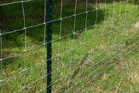 more images of CATTLE FENCE