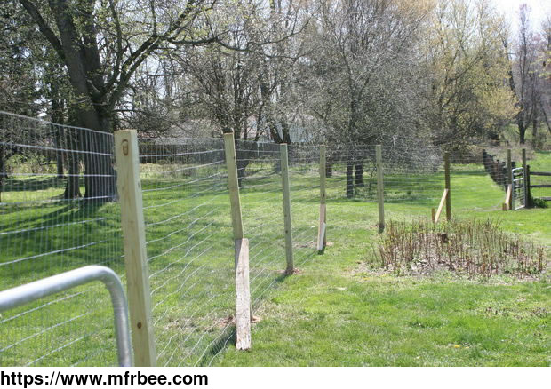 welded_wire_mesh_fence