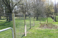 more images of WELDED WIRE MESH FENCE