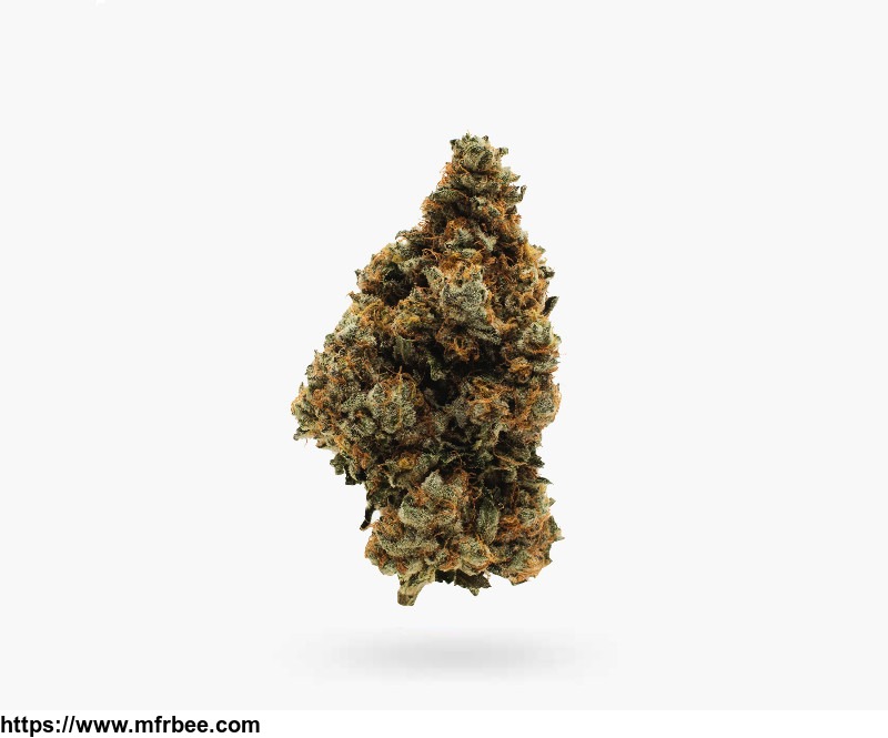 buy_weed_in_hamilton_hamilton_stoni_cannabis