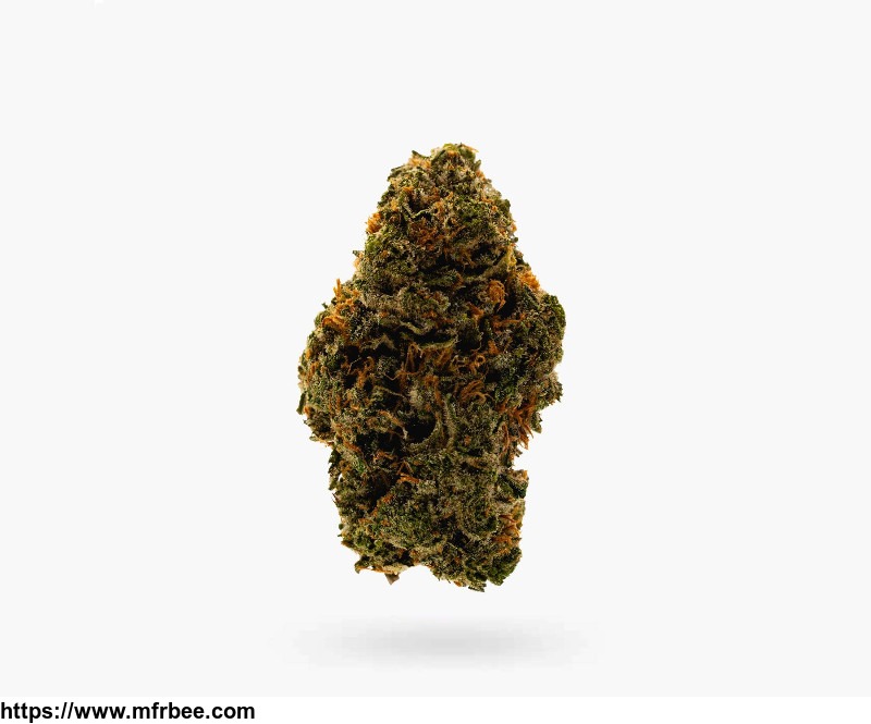 buy_critique_aaa_flower_in_hamilton_visit_stoni_cannabis