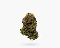 Buy Purple OG (AAA) Flower in Hamilton | Visit Stoni Cannabis