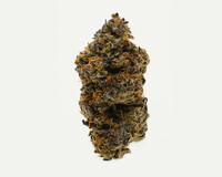 Buy Park Fire OG (AAAA)Weed in Hamilton | Hamilton Stoni Cannabis