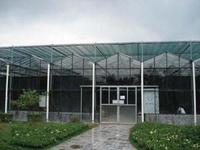 more images of Green House Glass