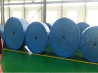 China Chemical Resistant Conveyor Belt Manufacturer