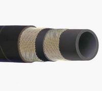 more images of Steam Hose