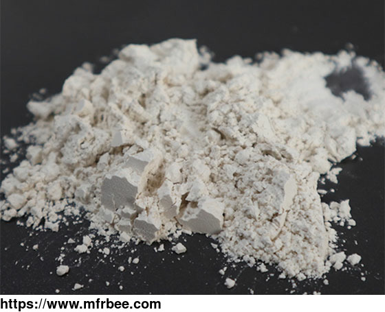 organic_rice_protein_powder