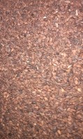 more images of SESAME SEEDS