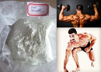 more images of Bodybuilding Purity 99% High Testosterone sale onlie Burning Fat