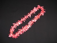 more images of Single Pink Lei