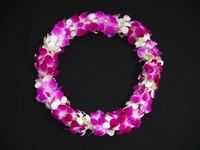 more images of Double Multi-Color Lei