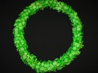 more images of Dyed Green Double Lei