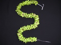 more images of Double Burana Green Garland