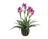 Artificial Flowers of Iris 80cm Gu-Bj-816-56-4