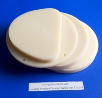 more images of High quality Amann Girrbach Ceramill compatible PMMA Blank .(A1,A2, A3)
