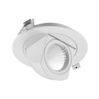 more images of Gimbal Downlight