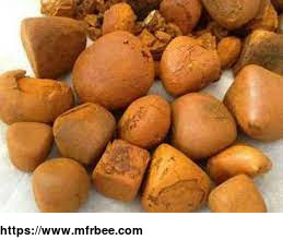 buy_cow_ox_gallstone_available_on_stock_now