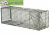 Large animal traps ideal for foxes, dogs, bobcats and stray cats