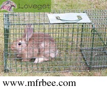 rabbit_traps_come_to_rescue_of_your_lovely_garden