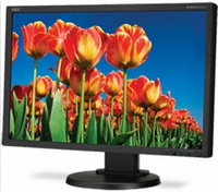 NEC 22 Inch Eco-Friendly Widescreen Desktop Monitor E222W-BK