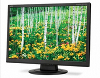NEC 20 Inch Eco-Friendly Widescreen Desktop Monitor E201W-BK