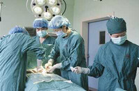 more images of Stem Cell Transplant For Kidney Disease