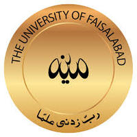 more images of The University Of Faisalabad