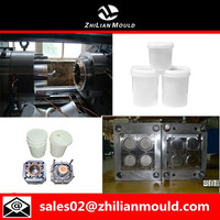 Household Products Plastic Pail & Barrel Mould