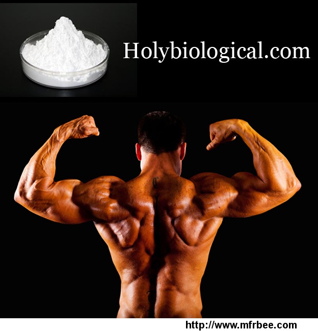 bodybuilding_material_steroid_powder_testosterone_phenylpropionate