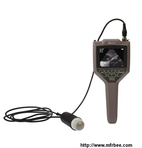portable_handheld_ultrasound_scanner