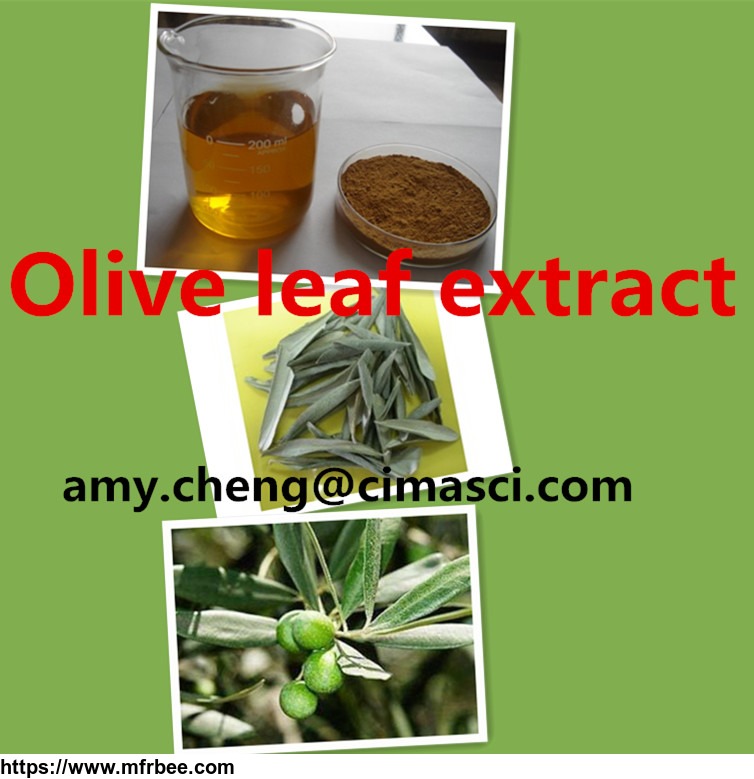 olive_leaf_extract_10_percentage_40_percentage_oleuropein_1_percentage_60_percentage_hydroxytyrosol