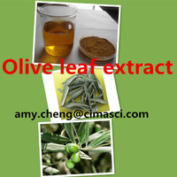 Olive leaf extract/10% -40% oleuropein/1% -60% hydroxytyrosol