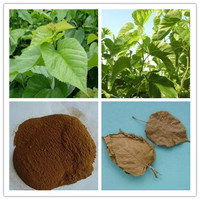 Mulberry Leaf Extract/1-8%1-DNJ