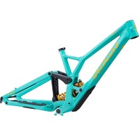 2020 SPECIALIZED DEMO RACE 29 FRAME (CV FASTRACYCLES COMPANY)