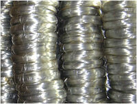 more images of Electro Galvanized Iron Wire