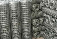 Galvanized Wire Mesh - Hardware Cloth and Fencing Material