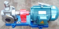 more images of YCB Gear oil transfer pump