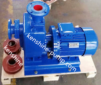 more images of ZWL direct-coupled self priming non clogging sewage pump