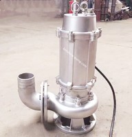more images of ZJQ high-chrome alloy submersible slag slurry pump