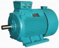 more images of Y-H Series Three-phase Marine Motor