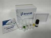 Rat Alkaline Phosphatase, Intestinal (ALPI) ELISA kit