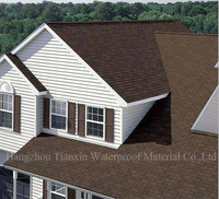 2016 decorative shingle roof