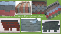 smart house top roof  decorative asphalt shingle roof