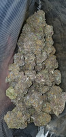 more images of Medicinal Cannabis - Top Shelf, Northern California