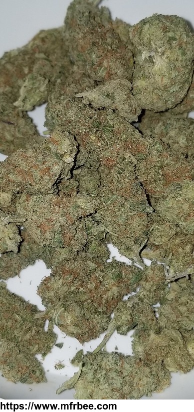 medicinal_cannabis_top_shelf_northern_california