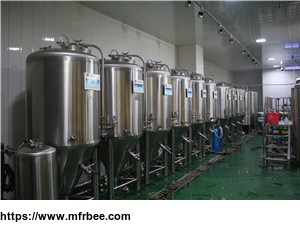 500l_5hl_small_micro_craft_beer_brew_fermentation_tank_machine_supplier